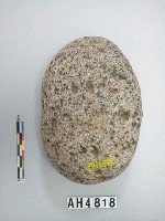 藏品(石錘)的圖片